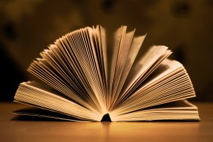 KONICA MINOLTA DIGITAL CAMERA